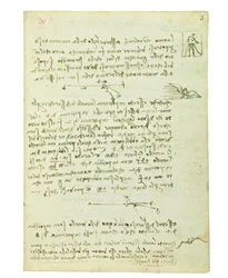Codex über den Vogelflug, Folio 5 recto